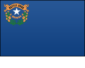 State Flag of Nevada